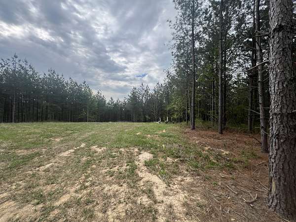 5 Acres of Residential Land for Sale in Erin, Tennessee