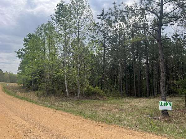 5 Acres of Residential Land for Sale in Erin, Tennessee