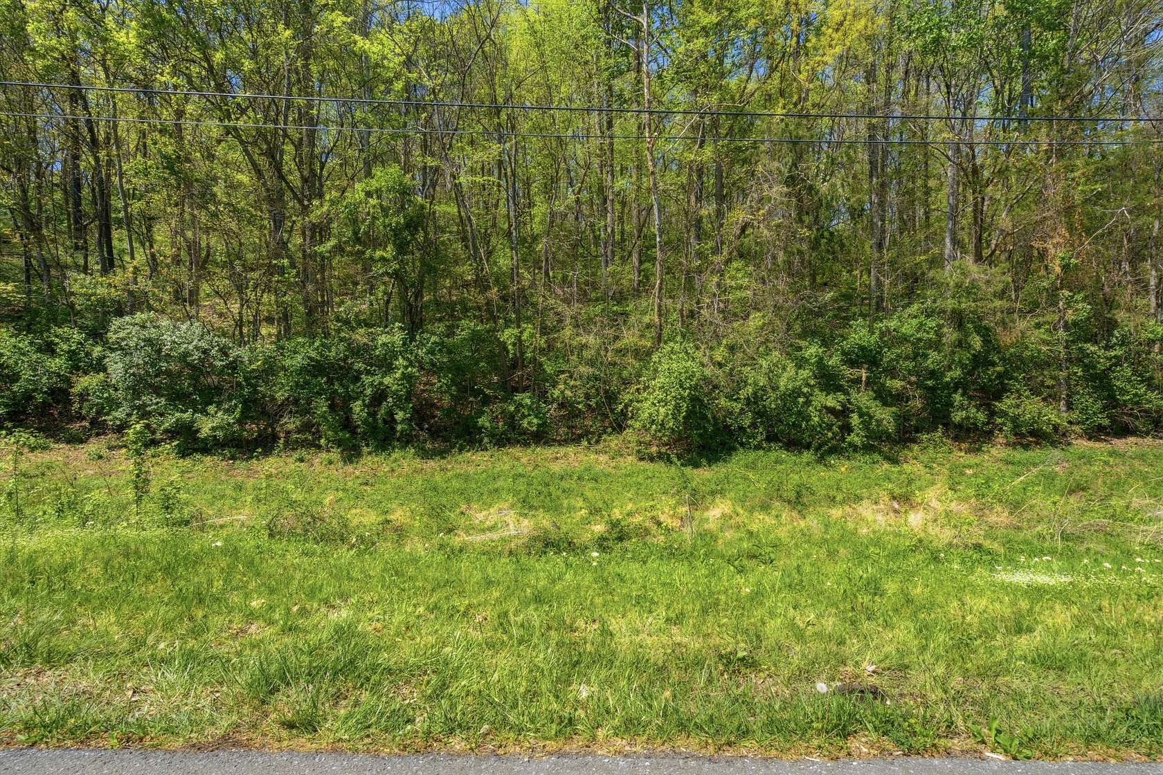 2.2 Acres of Residential Land for Sale in Franklin, Tennessee