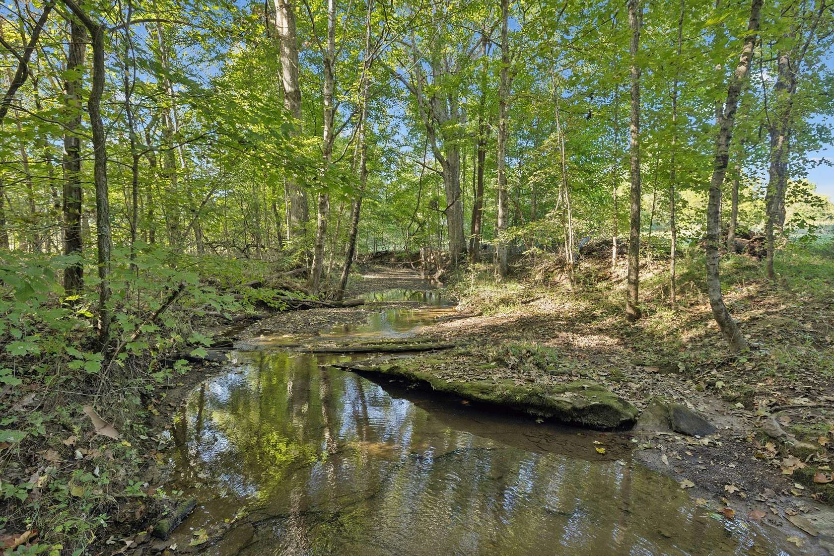 10.6 Acres of Recreational & Residential Land for Sale in Eagleville, Tennessee