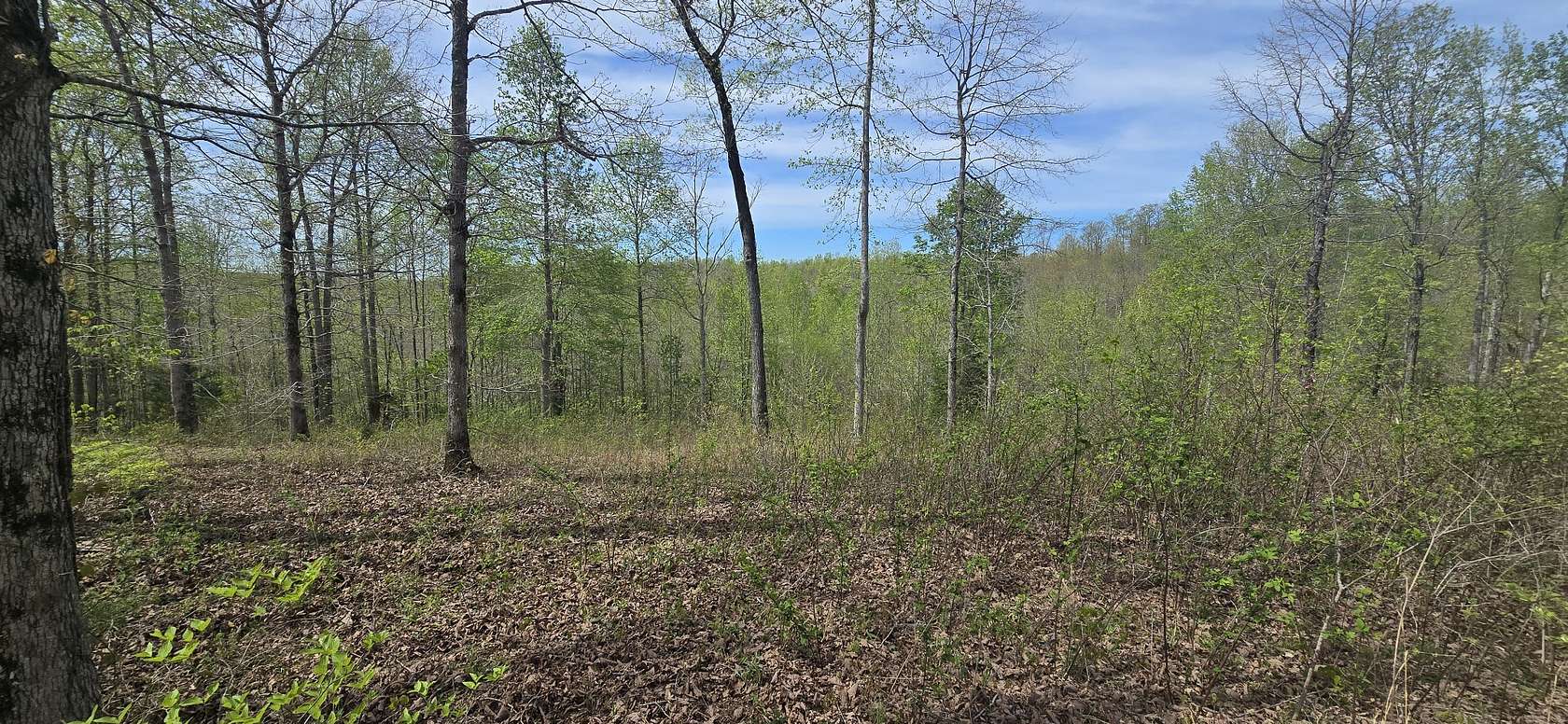 5 Acres of Residential Land for Sale in Hampshire, Tennessee