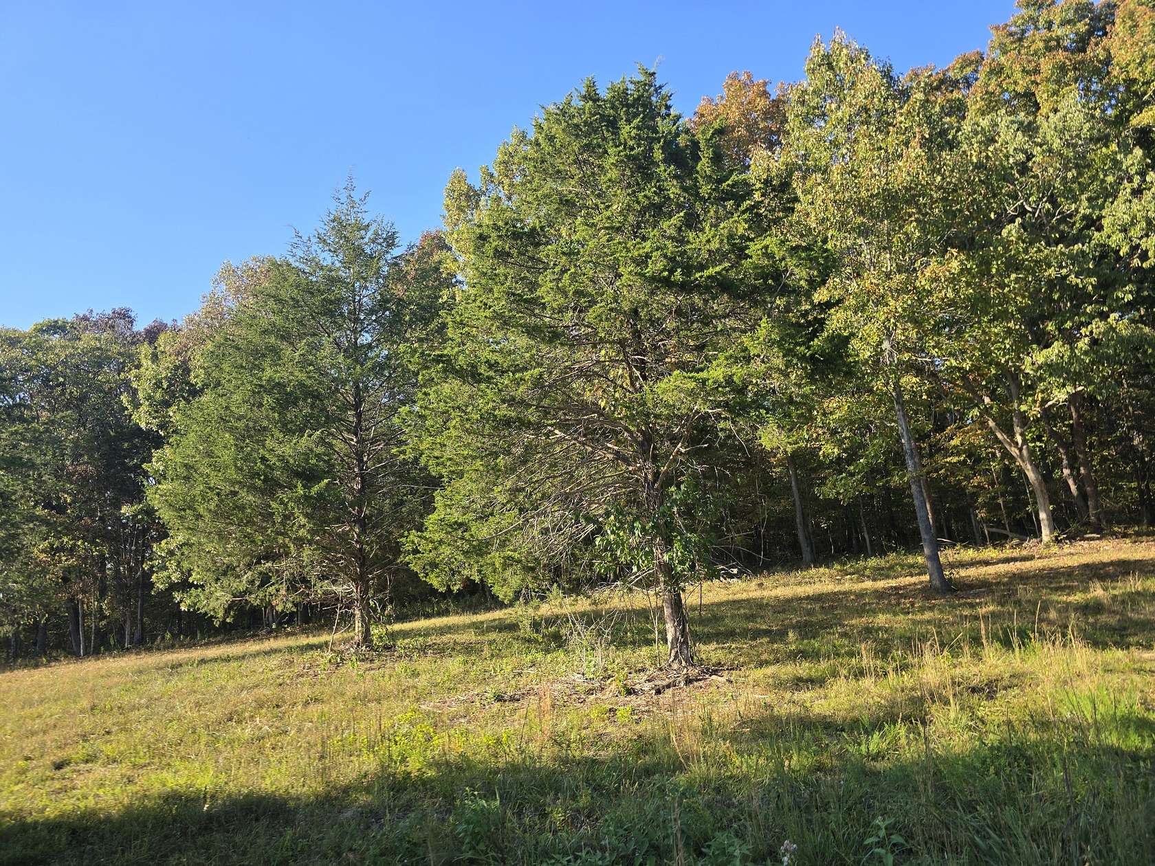 16.7 Acres of Land for Sale in Spring Hill, Tennessee