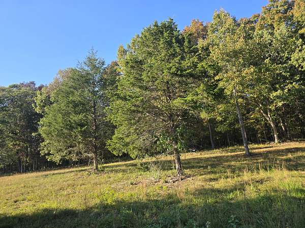 16.7 Acres of Land for Sale in Spring Hill, Tennessee