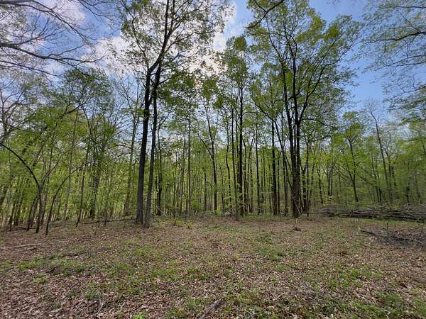 6 Acres of Land for Sale in Fairview, Tennessee