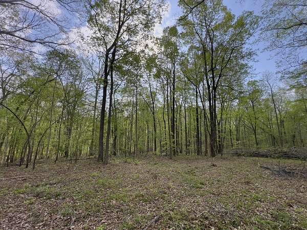 6 Acres of Residential Land for Sale in Fairview, Tennessee