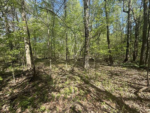 3.3 Acres of Residential Land for Sale in Clarksville, Tennessee