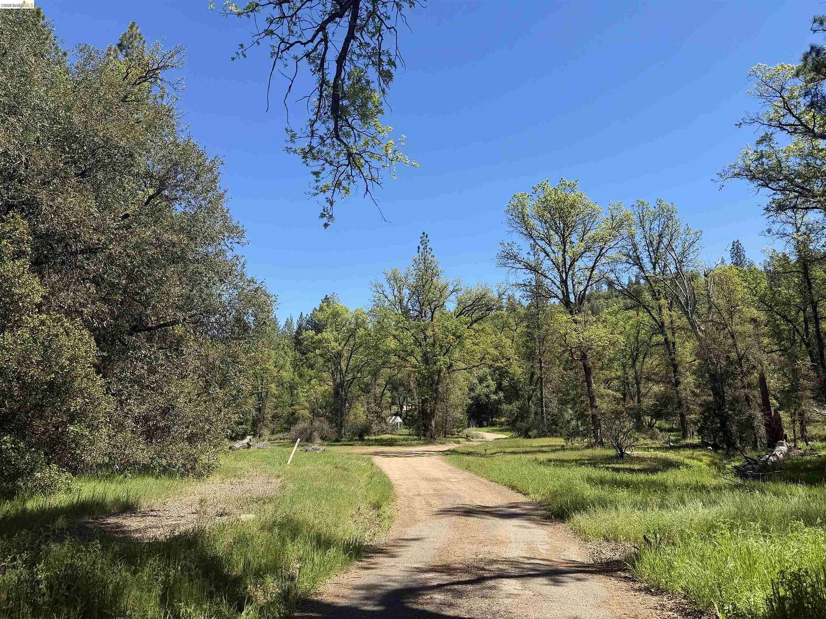9 Acres of Mixed-Use Land for Sale in Groveland, California