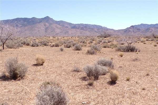 1 Acre of Residential Land for Sale in Chloride, Arizona