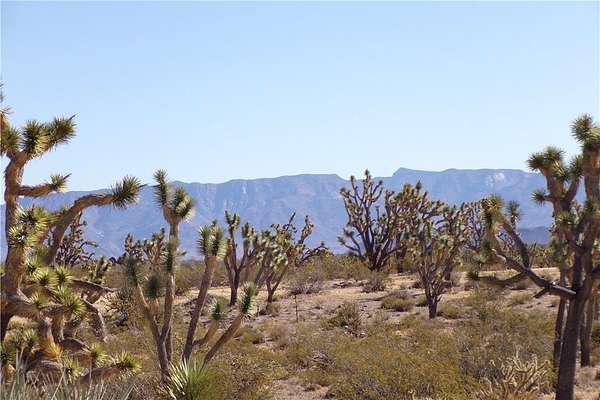 1 Acre of Residential Land for Sale in Chloride, Arizona