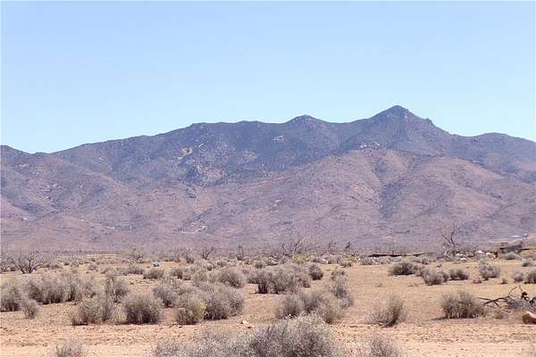 1 Acre of Residential Land for Sale in Chloride, Arizona