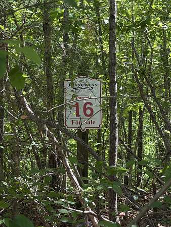 0.57 Acres of Residential Land for Sale in Springville, Tennessee