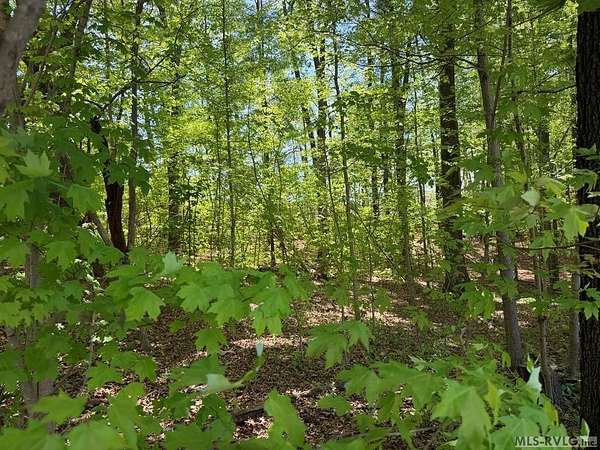0.26 Acres of Residential Land for Sale in Blackstone, Virginia