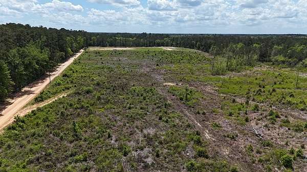 52.9 Acres of Recreational & Residential Land for Sale in Warren, Texas