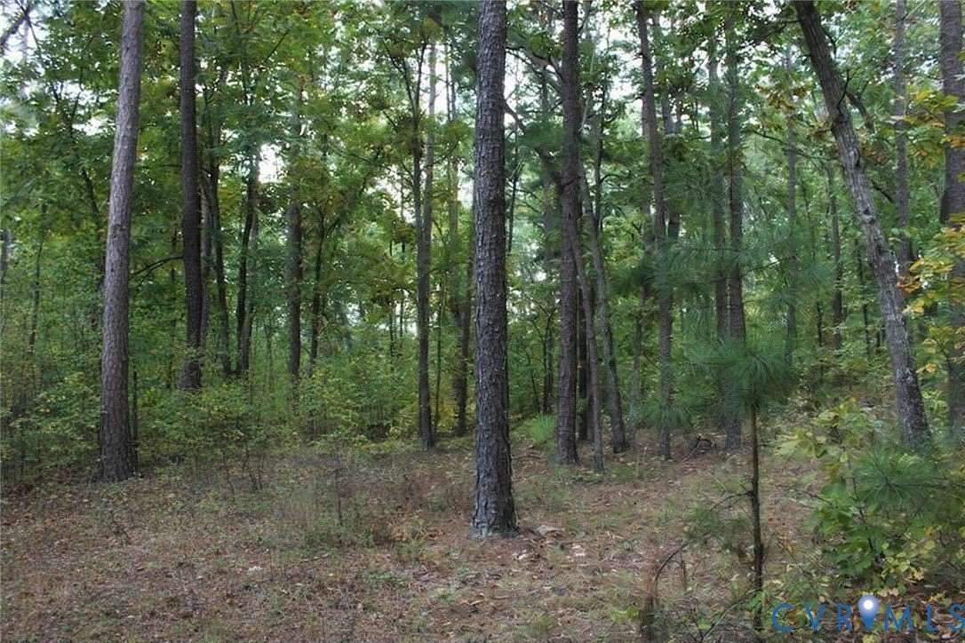 23.1 Acres of Land for Sale in Henrico, Virginia