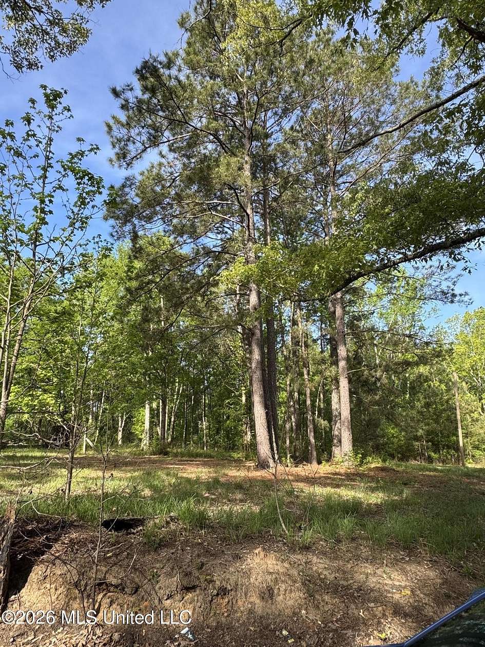4 Acres of Land for Sale in Gloster, Mississippi