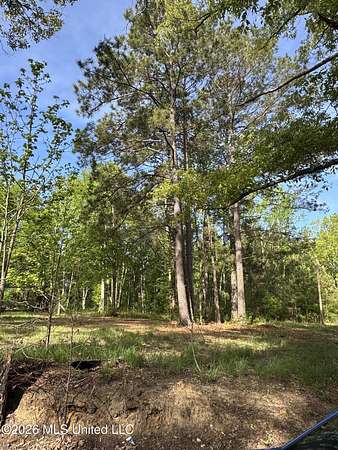 4 Acres of Land for Sale in Gloster, Mississippi