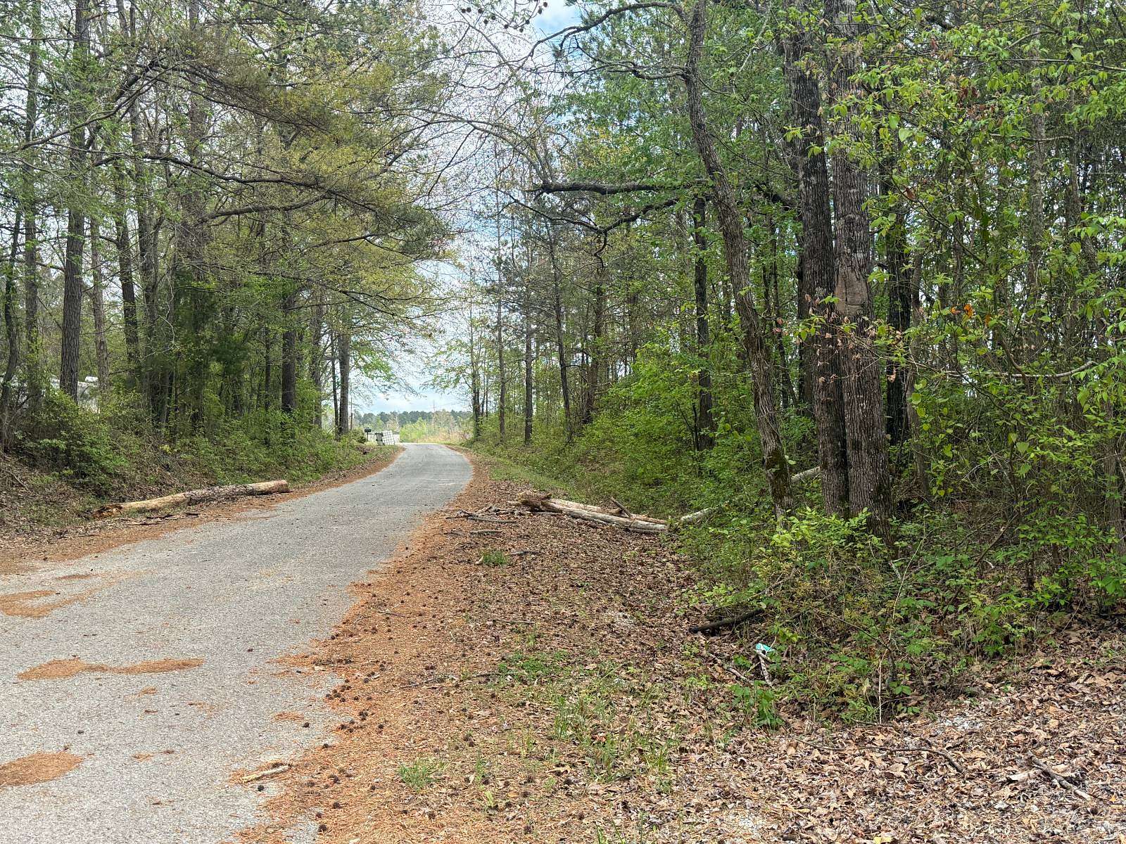 32 Acres of Recreational & Residential Land for Sale in Preston, Mississippi