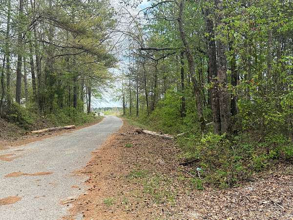 32 Acres of Recreational & Residential Land for Sale in Preston, Mississippi