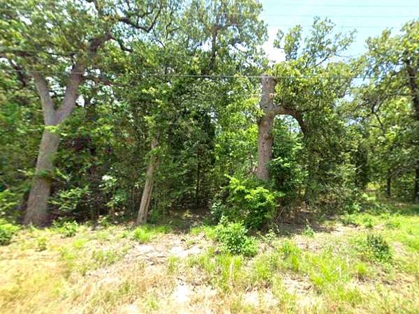 0.17 Acres of Residential Land for Sale in Log Cabin, Texas