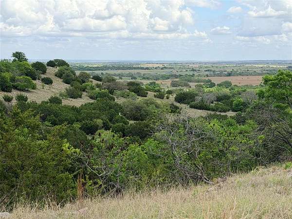 203 Acres of Land for Sale in Star, Texas