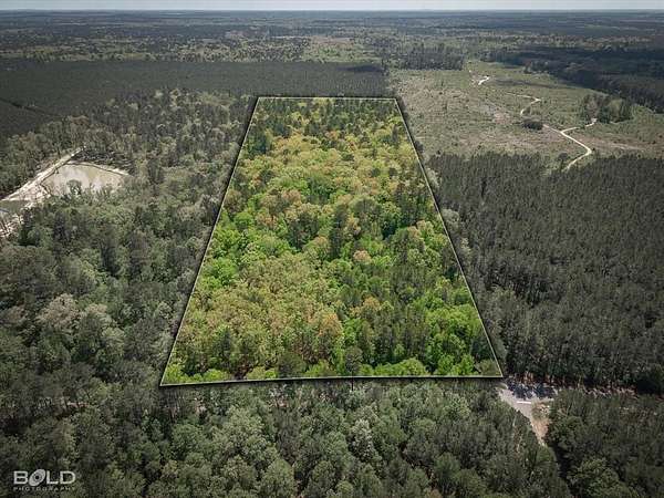29 Acres of Recreational & Residential Land for Sale in Benton, Louisiana