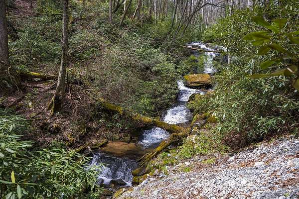 59 Acres of Recreational Land for Sale in Rosman, North Carolina