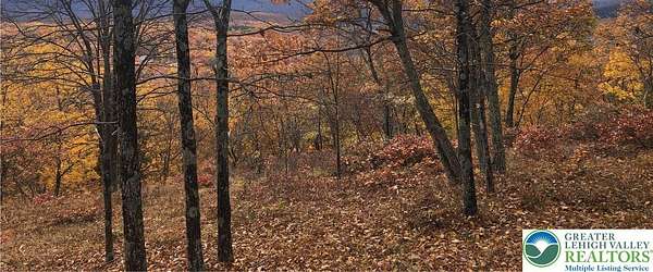 82.2 Acres of Recreational & Residential Land for Sale in Lehman Township, Pennsylvania