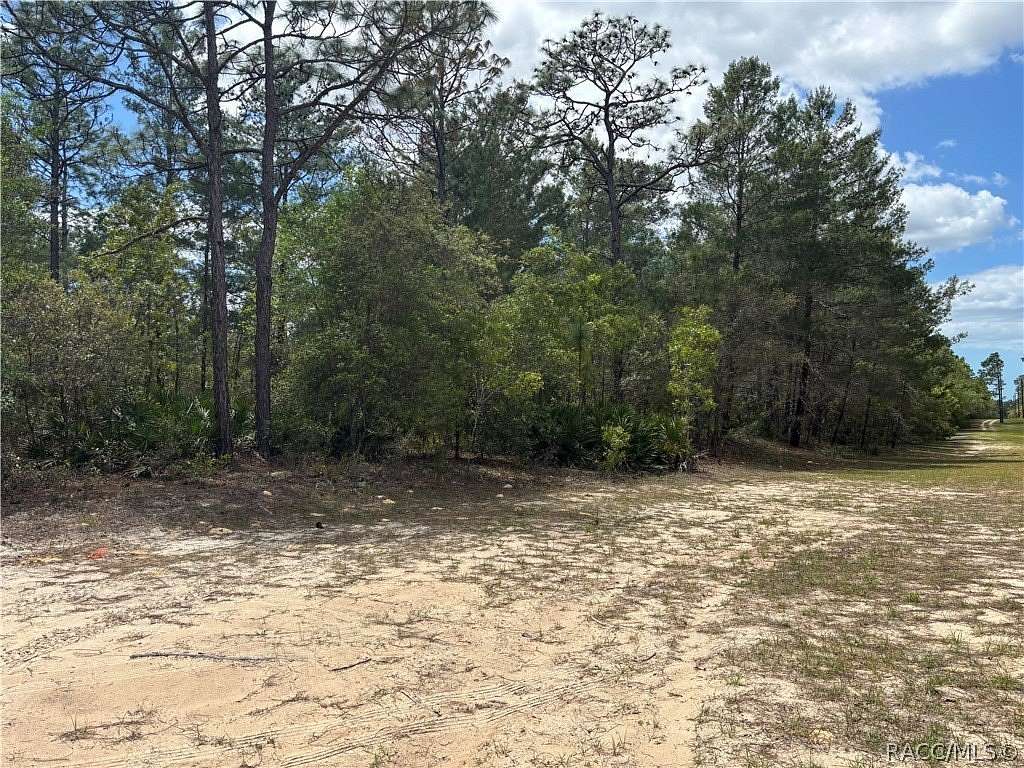 5 Acres of Residential Land for Sale in Dunnellon, Florida