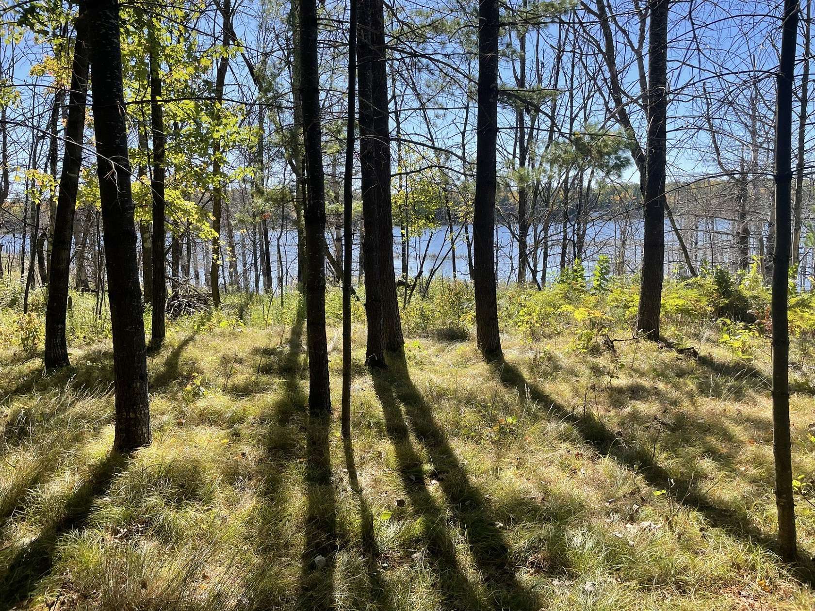 1.3 Acres of Residential Land for Sale in Drummond, Wisconsin