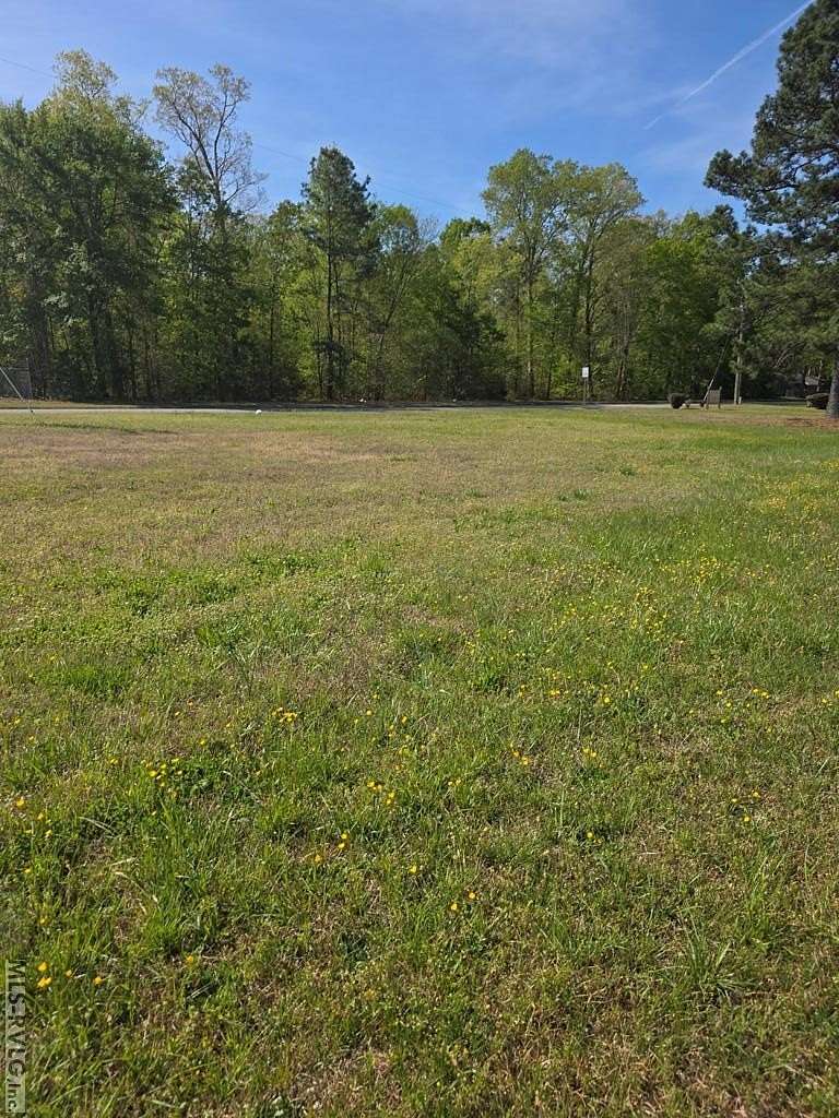 0.44 Acres of Commercial Land for Sale in Roanoke Rapids, North Carolina