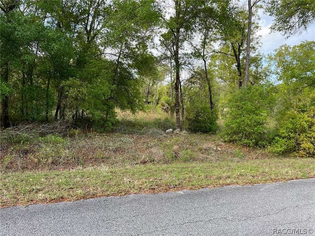 0.99 Acres of Residential Land for Sale in Dunnellon, Florida