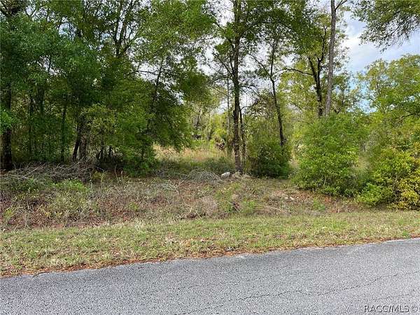 0.99 Acres of Residential Land for Sale in Dunnellon, Florida