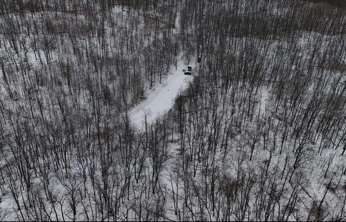 56.6 Acres of Recreational Land for Sale in Curran, Michigan