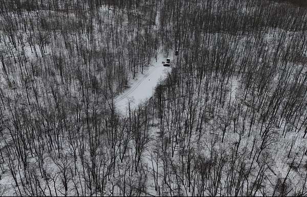 56.6 Acres of Recreational Land for Sale in Curran, Michigan