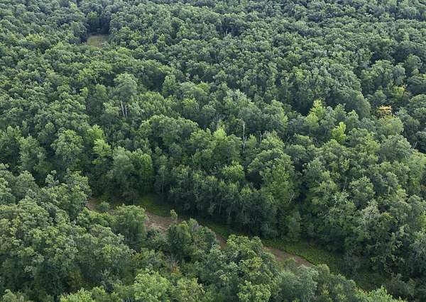 56.6 Acres of Recreational Land for Sale in Curran, Michigan