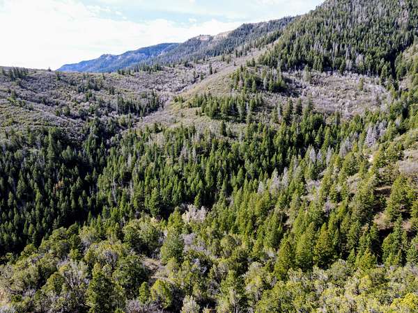 1,074 Acres of Recreational Land for Sale in Rifle, Colorado