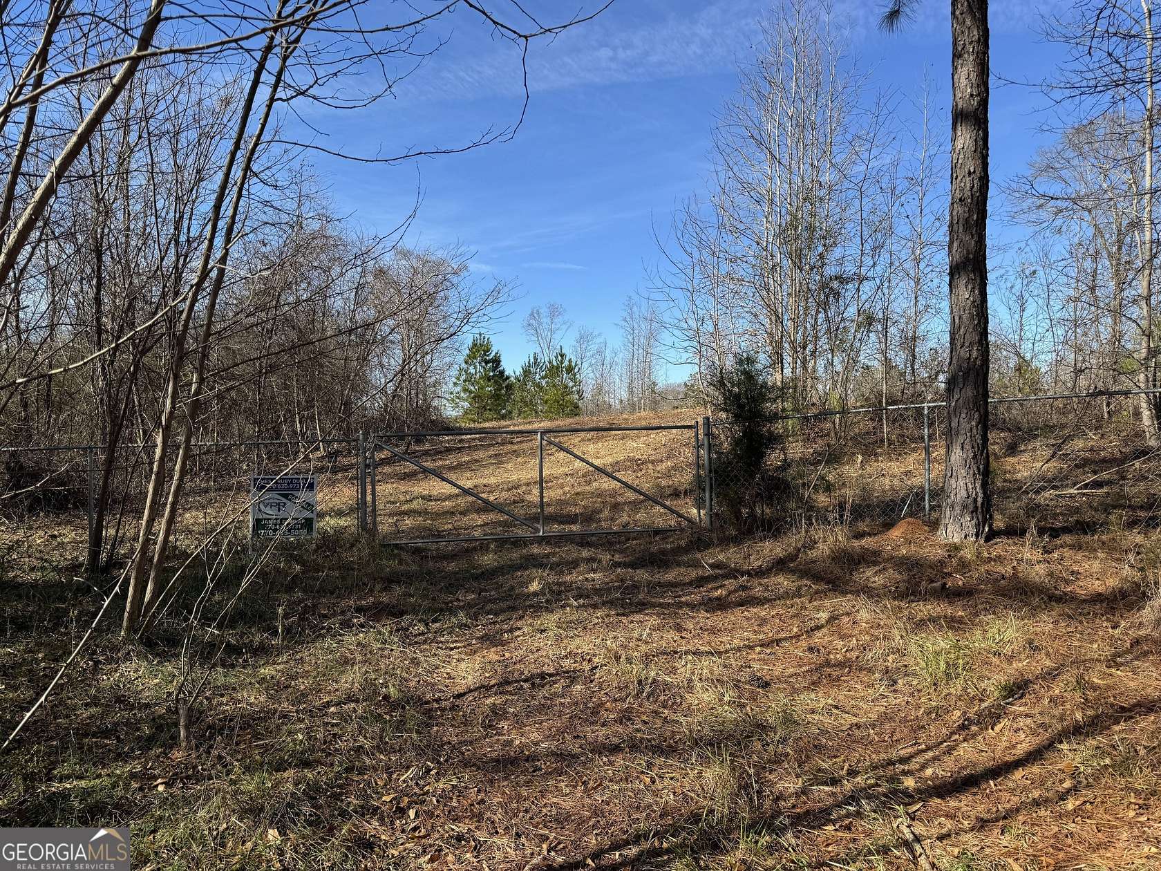 49 Acres of Recreational & Residential Land for Sale in Elberton, Georgia