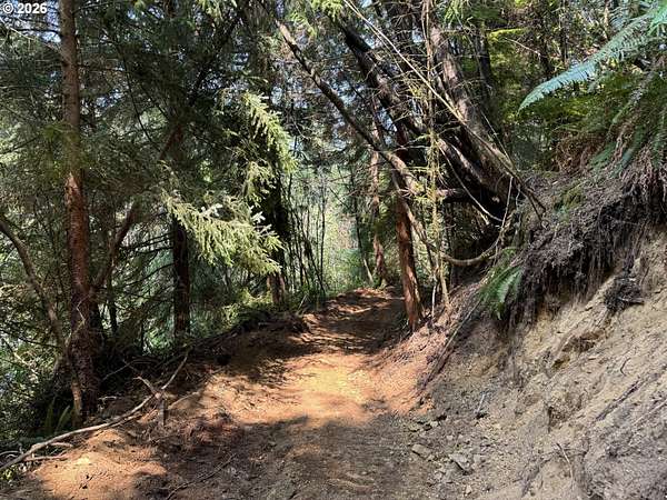 15.1 Acres of Land for Sale in Lakeside, Oregon