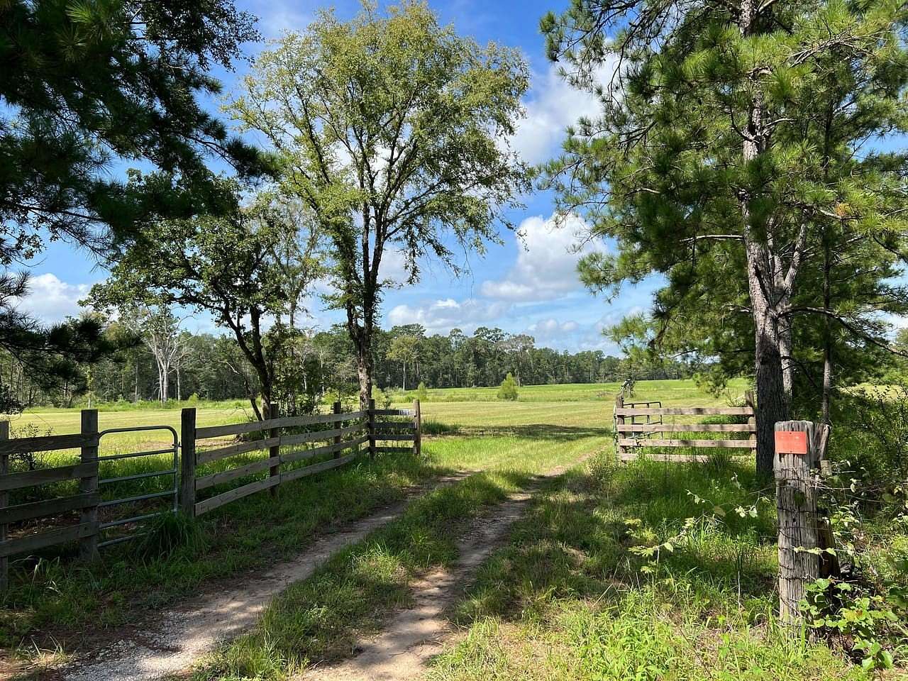 85.5 Acres of Improved Mixed-Use Land for Sale in Plantersville, Texas