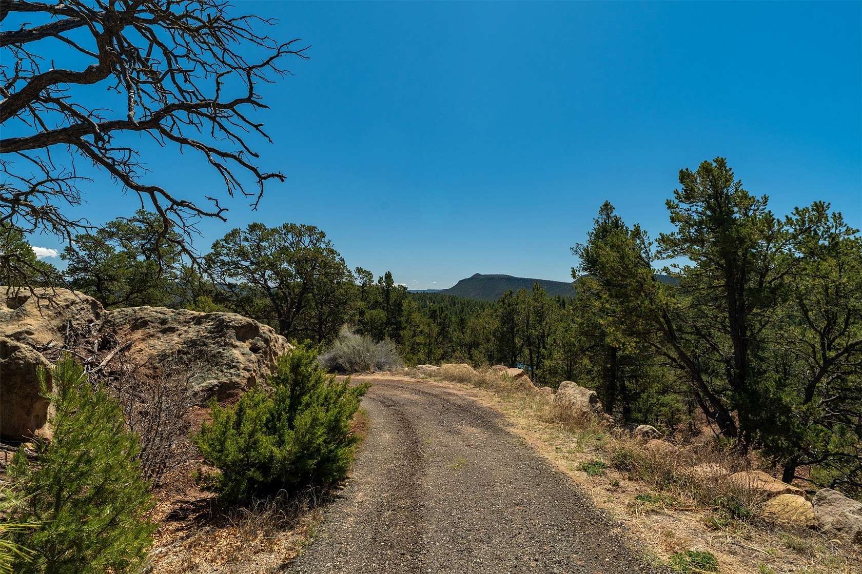 10 Acres of Land for Sale in Glorieta, New Mexico
