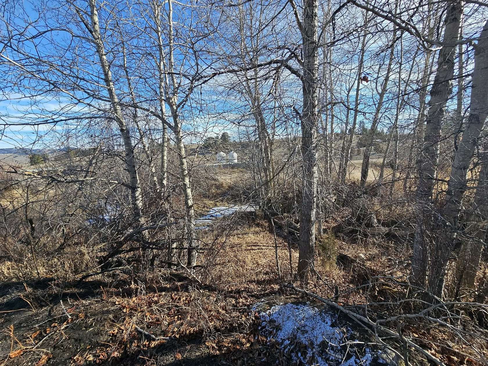 3.9 Acres of Land for Sale in Goldcreek, Montana