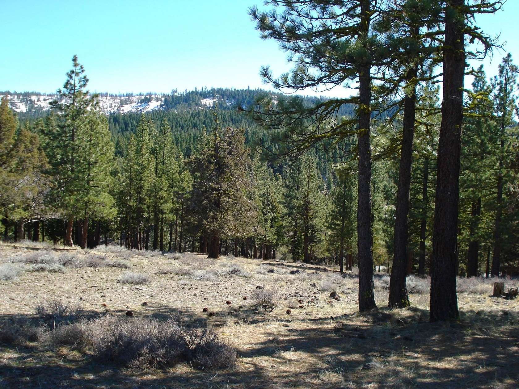 3 Acres of Land for Sale in Portola, California