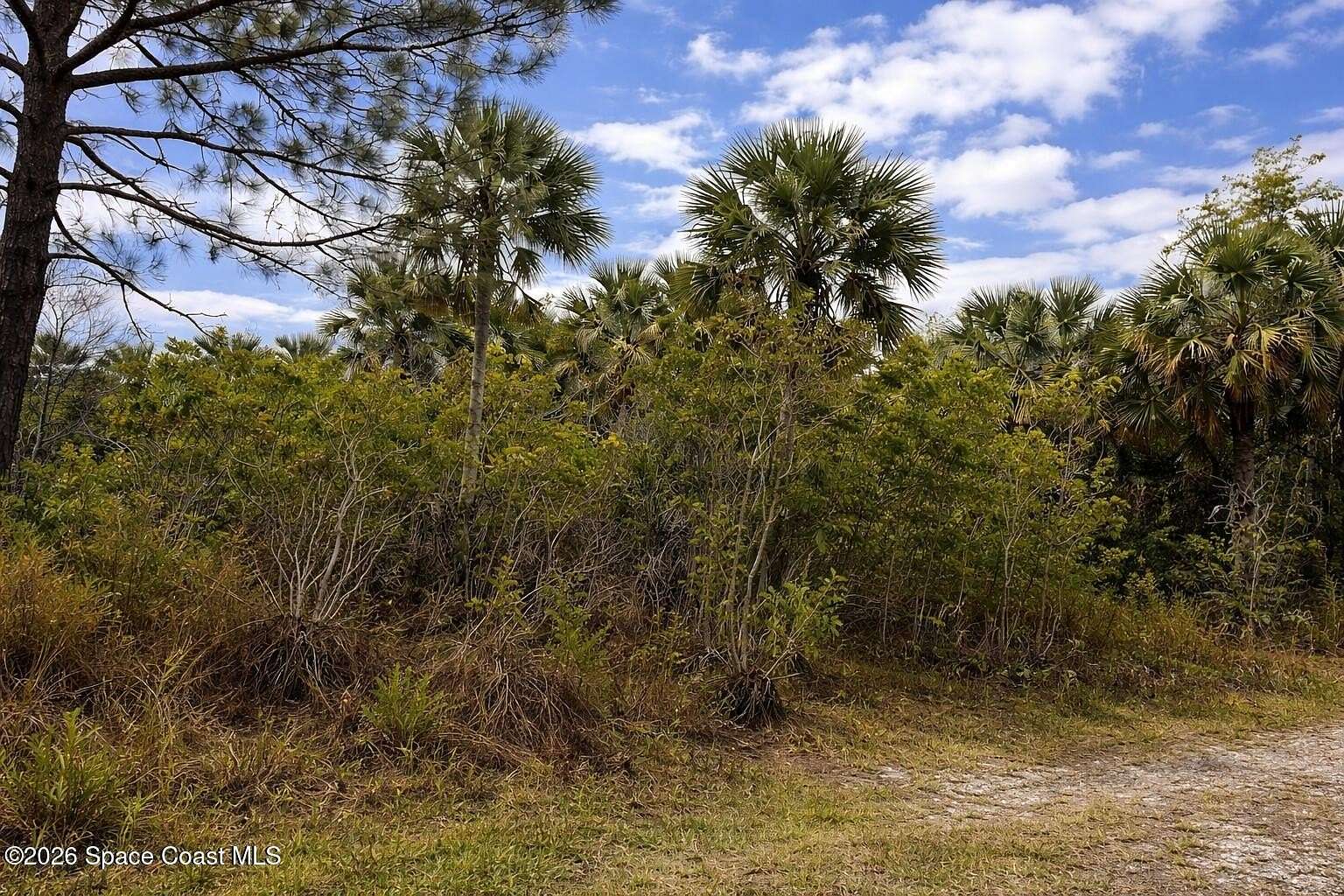 0.23 Acres of Land for Sale in Palm Bay, Florida