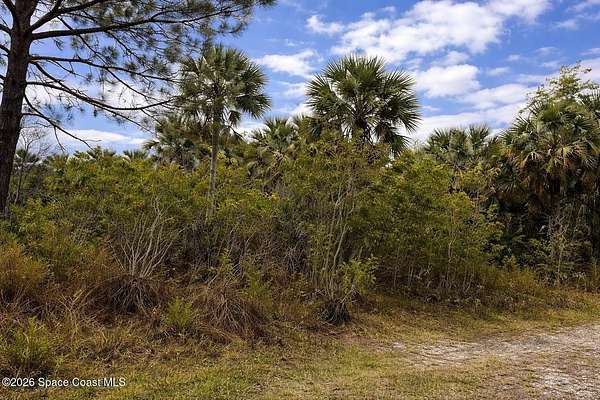 0.23 Acres of Land for Sale in Palm Bay, Florida