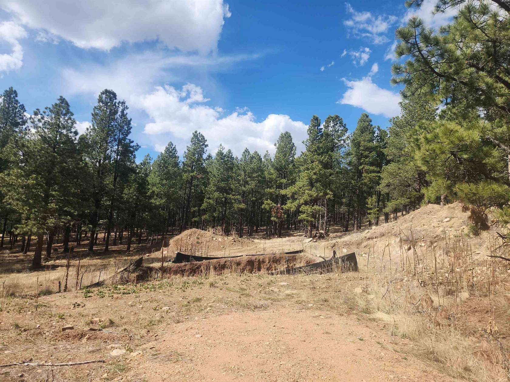 1.3 Acres of Residential Land for Sale in Angel Fire, New Mexico