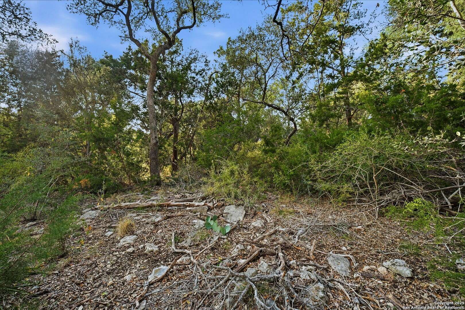 0.64 Acres of Residential Land for Sale in Canyon Lake, Texas