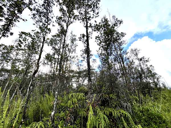 0.28 Acres of Residential Land for Sale in Pahoa, Hawaii