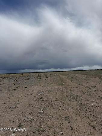 36.6 Acres of Recreational & Residential Land for Sale in St. Johns, Arizona