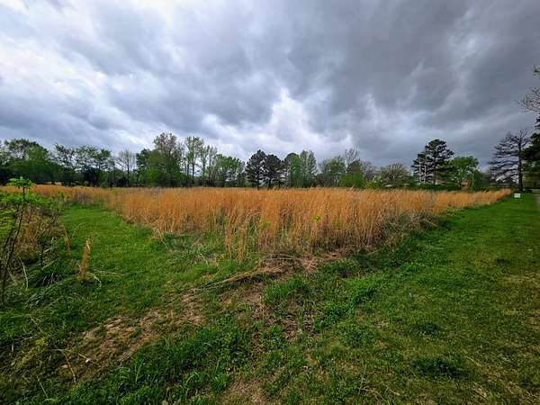 2.19 Acres of Residential Land for Sale in Tuskahoma, Oklahoma