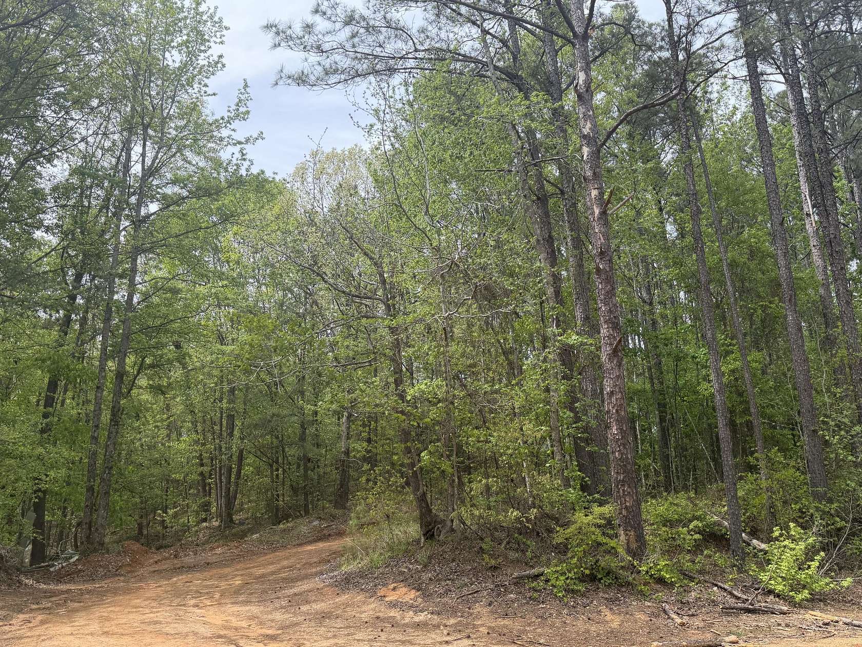 2.79 Acres of Land with Home for Sale in Gordo, Alabama